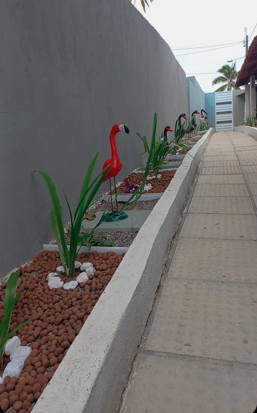 Villa Velha Flats Itamaracá Εξωτερικό φωτογραφία